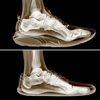 Trilhus Max - Bathers